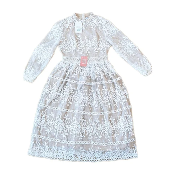 NWT Ivy City Co Sicily Dress Champagne Lining Size Medium - Picture 3 of 15